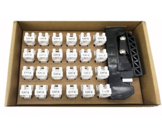 Techly Intellinet 369236 modulis Keystone RJ45 UTP Cat6, 24 vnt + užspaudimo replės