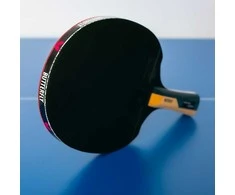 BUTTERFLY Timo Boll Carbon stalo teniso raketė