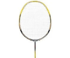 NR419 CARBON / BADMINTON ROCKET + NILS COVER