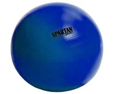 SPARTAN gimnastikos kamuolys 55 cm MĖLYNAS