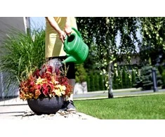 SPRING Žalias LAISTUVINIS 5L