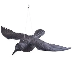 Varnas skrendantis – atgrasantis balandžius ir kitus paukščius