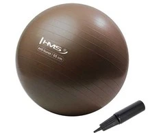 YB02 65 cm ANTI SPRŪGIMAS RUDAS GRIZZLY HMS GIMNASTINIS Kamuolys