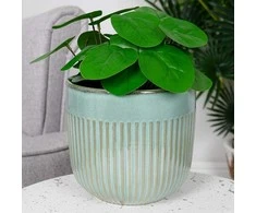 Žalias porcelianinis vazonas, 17 cm