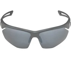 Alpina Nylos HR Sunglasses cat. 3 Pilkas