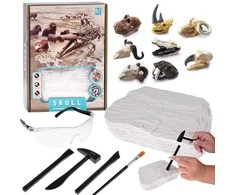 Dėlionė Jokomisiada Archaeology Kit Dig Up a Surprise Fossilized Leaves and Bones ZA5753