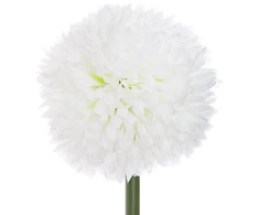Dirbtinė šakelė Atmosphera Pompom. 60 cm