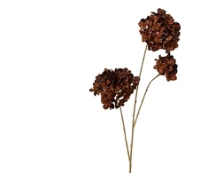 Nežinomas Dirbtinė gėlė Decoris Hydrangea, ruda, 88 cm