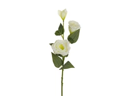 None Nežinomas Dirbtinė gėlė, eustoma, balta sp., 71 cm