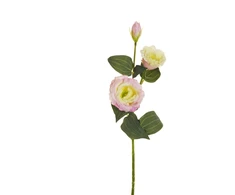 Artificial flower. eustomas. pink col.. 71 cm