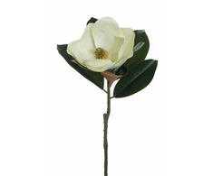 None Nežinomas Dirbtinė gėlė, magnolija, balta sp., 71 cm