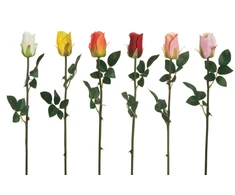 None Artificial flower. rose. 54 cm