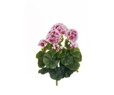 None Nežinomas Dirbtinė gėlė Pelargonija, violetinė sp., 36 cm