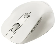 Asus Pelė | MD105 | Wireless | Bluetooth, 2.4GHz | Milky Baltas