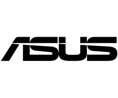 ASUS ProArt PA401 Wood Edition rusvai gelsvas - Metal Panel