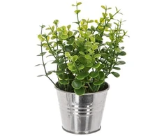 ATMOSPHERA Dirbtinis augalas vazone, 17 cm