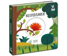 KNYGA Kapitan Nauka Kapitono mokslas. Stebuklingas ratas. Siurprizas!