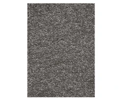 CARPETING FLORIDA 95 5M