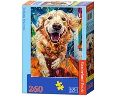 Castorland dėlionė Euphoric Spectrum 260 det.