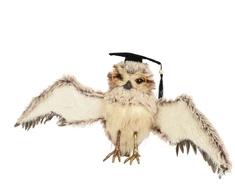 Nežinomas Kalėdinė dekoracija Decoris Owl 704628, 28 cm, ruda