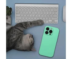 Dėklas Oem Case for iPhone 16 PRO Silicone 2mm compatible with MagSafe mint