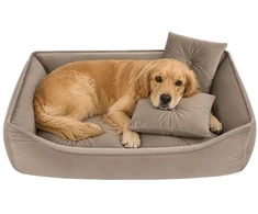 Dog/cat bed 70x50cm Purlov