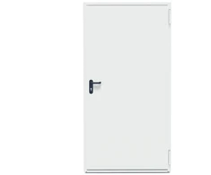 DOOR STEEL T30-1 1000X2100 RAL 9002