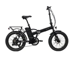 Electric bicycle Denver E2500. 20". 250 W. 10.4 Ah. juodas