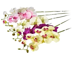 Emivela Dirbtinė orchidėja, 70 cm