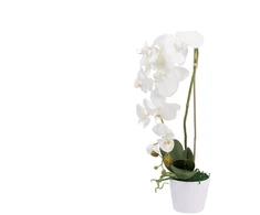 Emivela Artificial orchid in a pot 50x15x15cm