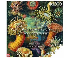 Cenega Vaizduotės dėlionė: Ernst Haeckel Jūros gyvūnai 1000 elementų