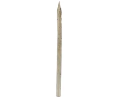 IMPREGNATED PICKET 5-6X180CM SHARP 3CL