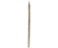 Impregnated stake. 250 cm x 6 cm
