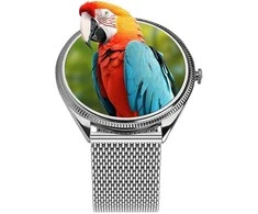 Išmanusis laikrodis TITMO O-170 (AMOLED, bluetooth call, stainless steal sidabrinis mesh strap) sidabrinis