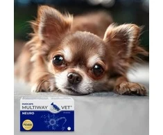 JM SANTE Multiway Vet Duocaps Neuro - atsukamos kapsulės šunims ir katėms, palaikančios nervų sistemą – 60 vnt.