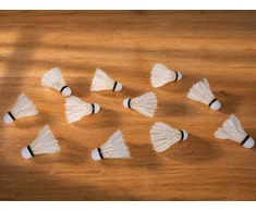 Jokomisiada Badminton shuttlecocks made of natural feathers - set of 12 in a tube SP0863