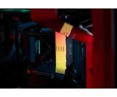Kingston KF432C16RB12A/16 16GB 3200MT/s DDR4 CL16 DIMM 1Gx8 FURY Renegade RGB | Kingston