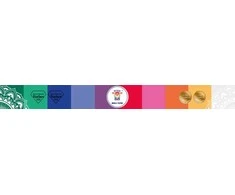 Holi Color Powder Set 10x100g Holi Cow 27334