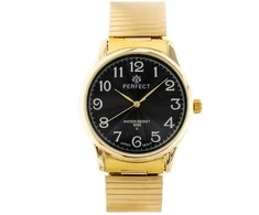 Laikrodis MEN'S WATCH PERFECT X421 (zp331d) - rubber band