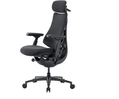 LiberNovo OC1-PRO 45 cm ergonominė kėdė (grafito spalvos)