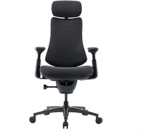 LiberNovo OC1-PRO 48 cm ergonominė kėdė (grafito spalvos)