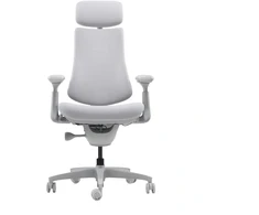 LiberNovo Omni Dynamic 45 cm Ergonomic Chair (Gray)