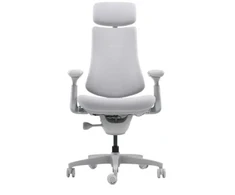 LiberNovo Omni Dynamic 45 cm Ergonomic Chair (Gray)