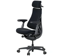LiberNovo Omni Dynamic 45 cm Ergonomic Chair (Juodas)