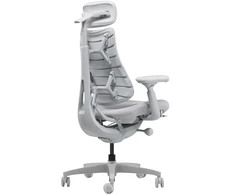 LiberNovo Omni 45 cm Ergonomic Chair (Gray)