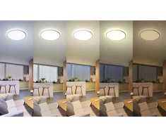 Lubinis šviestuvas Šviestuvas lubų Philips, 32 W, LED, 2200 - 6500 °K