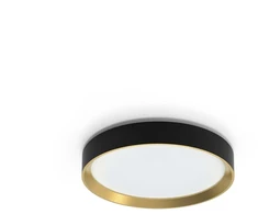 Lubinis šviestuvas Šviestuvas lubų Philips 929004115901, 24 W, LED, 4000 °K