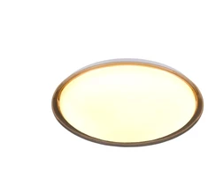 Lubinis šviestuvas REALITY Trio Ceiling Light. 20W. 3000K. 2600lm. Ø38