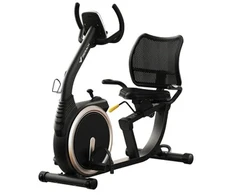 MERACH MR-S19 Recumbent Bike