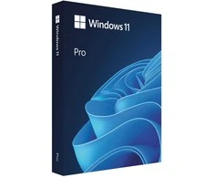 Windows 11 Pro BOX USB PL